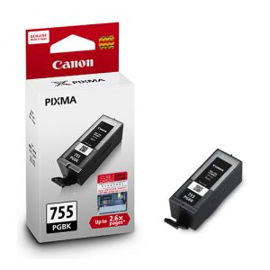 Canon PGI 755 Black - XXL